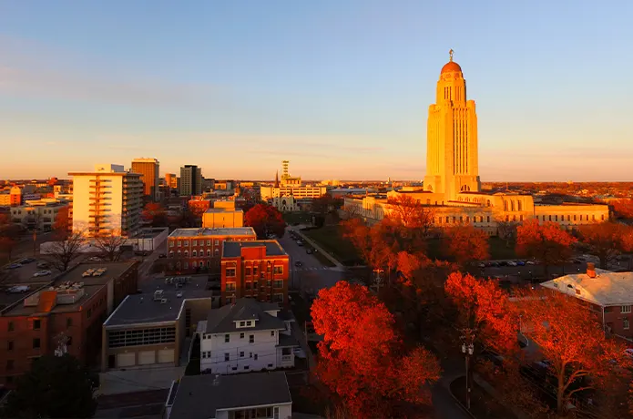 Fall Color Orange Tree Leaves City