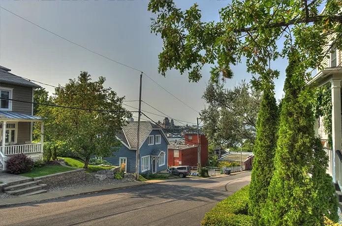 House Beside Tree in Peaceful Neighborhood